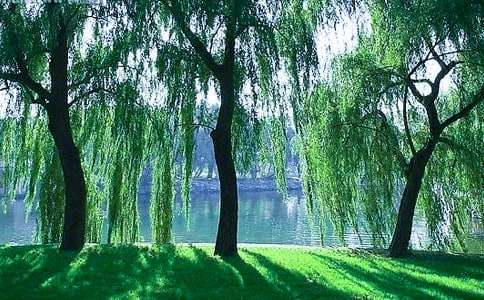 ��д�������������