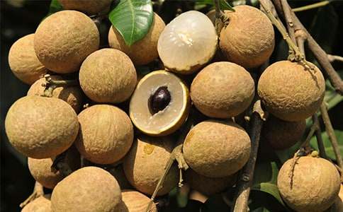 �������꼶����