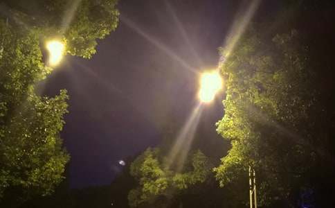 ��������һյ·��-���꼶����