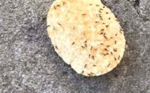 �������ϵ���ʾ����500�־�ѡ