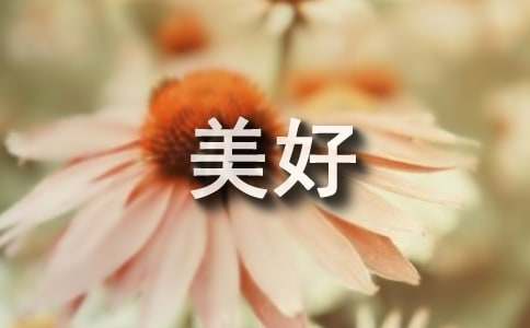 美好的回忆作文700字_小学六年级作文