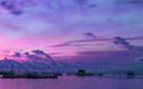 实用的四年级美景作文300字集锦7篇