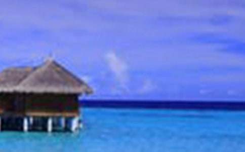 ���š�����������꼶����