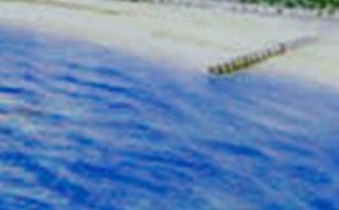 乡村美景_小学生六年级作文