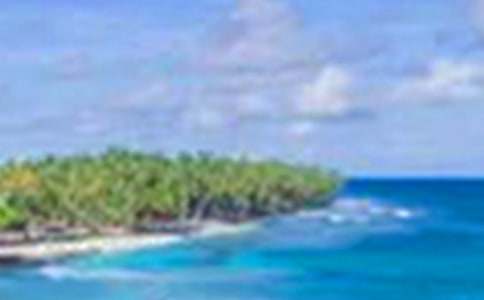 描写月夜月光美景的句子