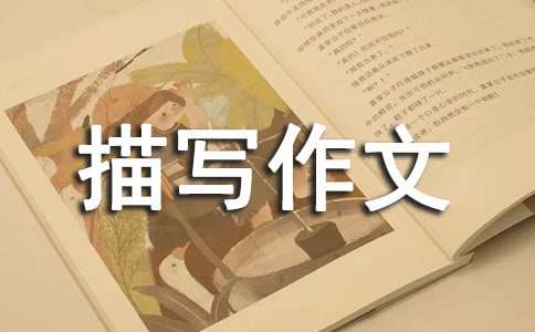 ����������д������ƪ