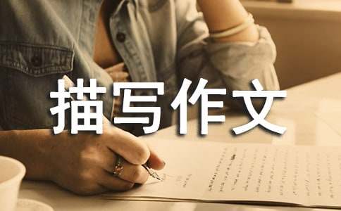 ���ڳ���������д���Ļ�����ƪ