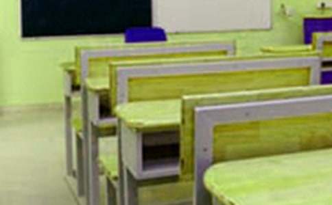 再见,母校小学日记