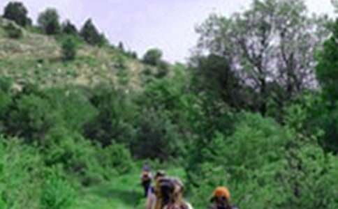 ��ɽ���꼶����