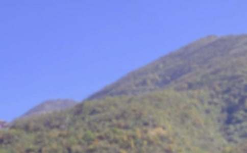 《爬山虎的脚》教学设计集合15篇