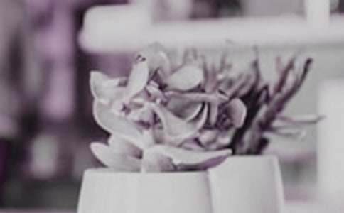 �����ֹ���������������