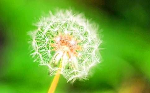 ����A�����꼶�²ᡶ�ѹ�Ӣ��˵һ����Ľ̰�