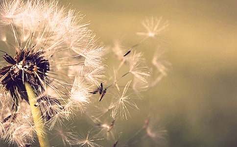 ���ѹ�Ӣ���Ρ���ѧ���