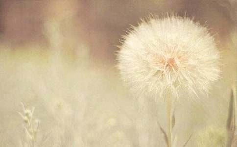 ���꼶�ϲᡶ�ѹ�Ӣ������ϰ���