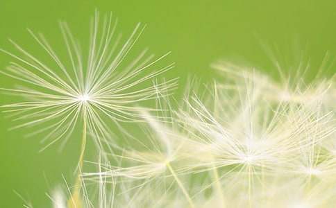 ���ڿ�չ2016��Բ���ѹ�Ӣ���������ܽ�