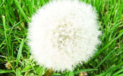 ���ѹ�Ӣ���Ρ���ѧ���+˵�θ�