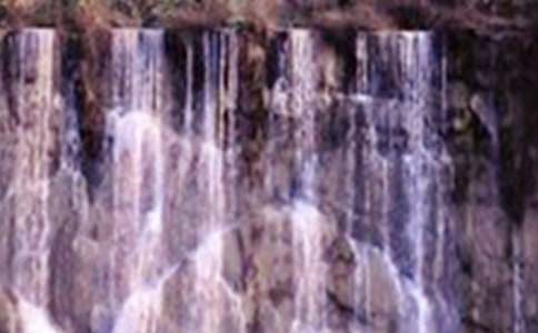 ���꼶���ƹ����ٲ���ϰ��