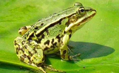 �̿ư����ϡ����ܡ���ѧ���