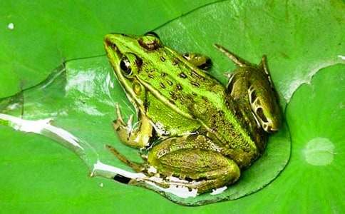 һ�ϡ�����дʫ����ѧ��˼