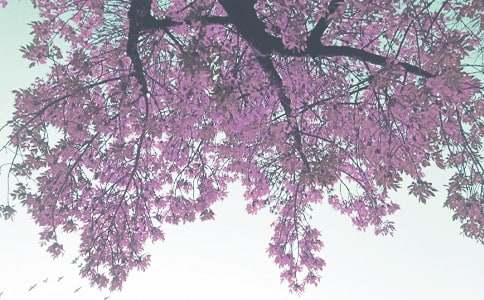 2016�����＾ȫ��������������