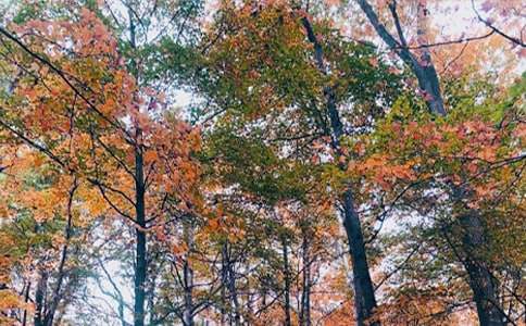 ����ͯ������ͯ�����ģ���ѡ42ƪ��