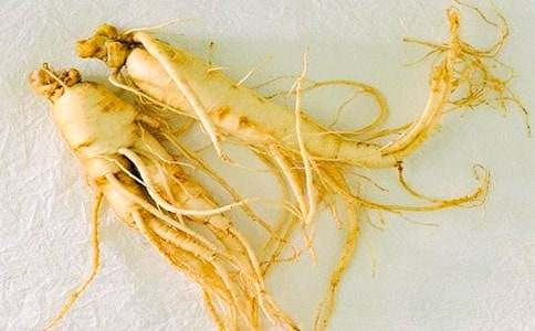 ���˲μ���֯�������ڵ�����