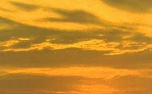 �������꼶д������11ƪ