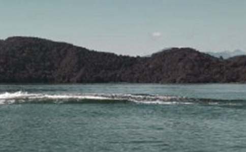 �˽̰���꼶�²ᡶ9������̶����ѧ���