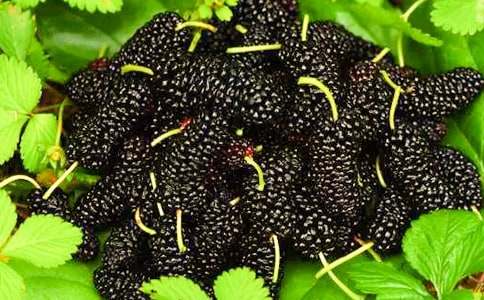 ժɣ���ռǡ�ͨ��10ƪ��