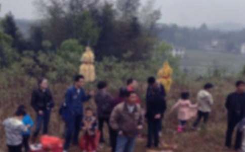 Сѧ��ɨĹ�ռǷ���10ƪ