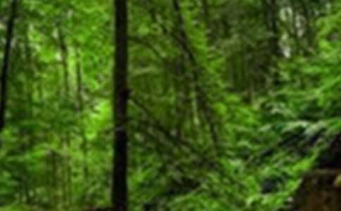 ɭ�ֱ��������400�֣���ѡ13ƪ��