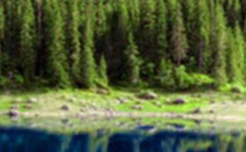 ����ɽˮ�ľ��ӡ��ر�15ƪ��