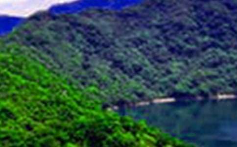 ��������дɽˮ�Ĺ�ʫ15ƪ