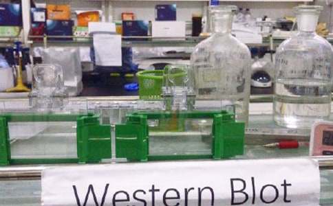 Сѧ��ѧʵ���ҽ�ѧ�����ƻ�