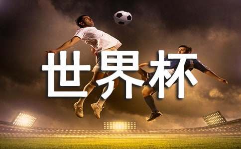 �������籭�Ĺ����½�����