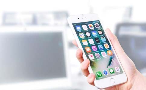 我是手机控_六年级作文