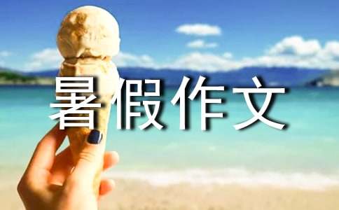 有关初一暑假作文300字三篇