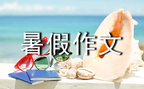 有关五年级暑假作文300字3篇