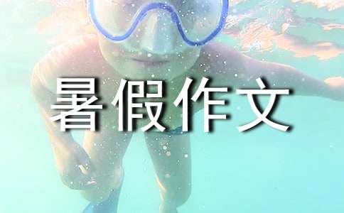 ��ѡ�������������ƪ