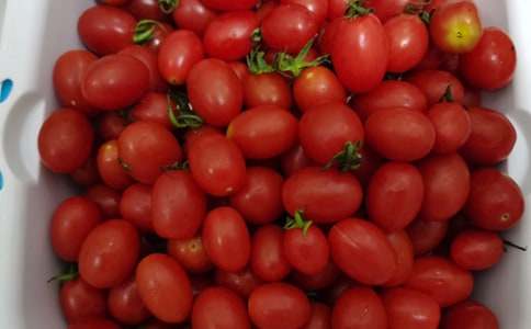 ʵ�õĶ��꼶ˮ������10ƪ[����]