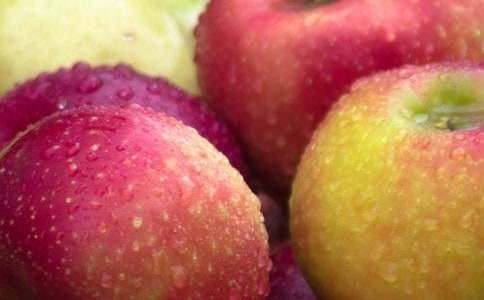 ���ڶ��꼶ˮ������5ƪ