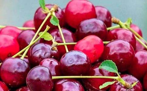 ʵ�õĶ��꼶ˮ������10ƪ