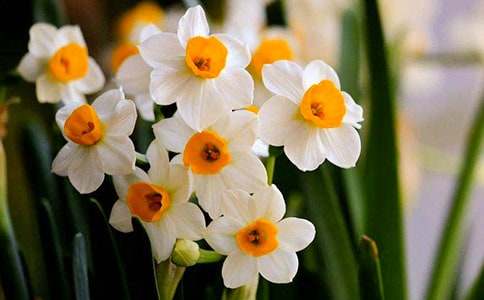 ����ˮ�ɻ���ɢ��