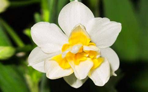 2017����ˮ�ɻ���ʫ�辫ѡ