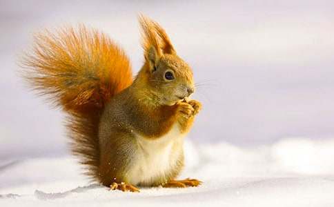 ��̰����꼶�ϡ���ֻ���󡷵ڶ���ʱ�̰�