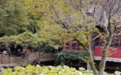 ����԰�ֵ��δ���������400��