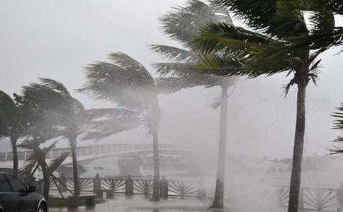 ��Ѵ��̨��ĺ���������ﾫѡ2016