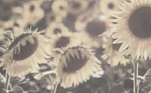 ̫����˵���ģ�ͨ��18ƪ��