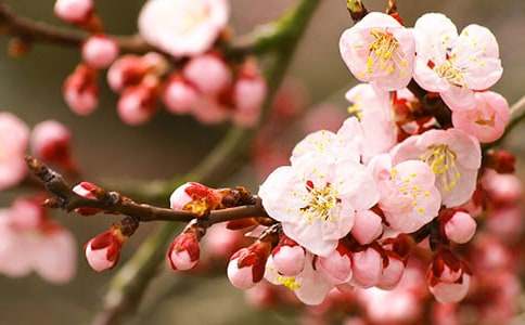 �һ���ľ��ϰ����