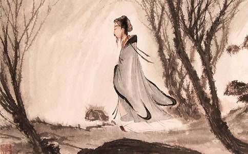 ��Ԩ������԰��ӣ�����������ѧ���